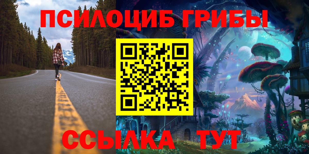 Псилоцибиновые грибы Psilocybe  Вход с VPN  Белово 