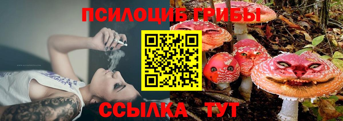 Галлюциногенные грибы MAGIC MUSHROOMS Белово